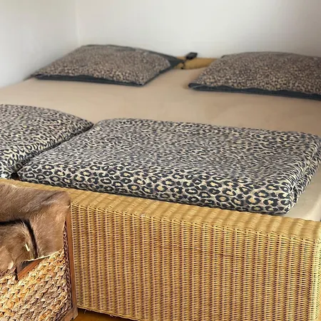 Dum Tatil Evi Stasov